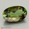 Natural Tourmaline 3.47 Carats Honey Green Oval 12x8 mm Loose Gemstone - Image 7