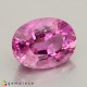 Showing image for rubellite rubellite Rubellite image