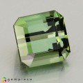 Natural Tourmaline 2.36 Carats Green Octagon 7x7 mm Loose Gemstone - Image 6