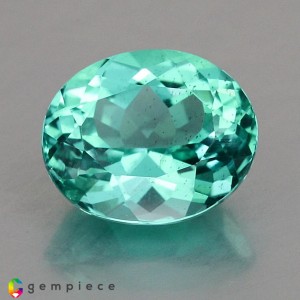 apatite  1.61cts - 8x7mm