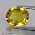 Natural Sapphire 4.82 Carats Yellow Oval 11x10 mm Loose Gemstone - Image 3