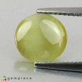 Natural Chrysoberyl cats eye 3.07 Carats Greenish Yellow Round Cabochon 8x5 mm Loose Gemstone - Image 1