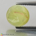 Natural Chrysoberyl cats eye 3.07 Carats Greenish Yellow Round Cabochon 8x5 mm Loose Gemstone - Image 3