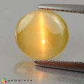 Natural Chrysoberyl cats eye 3.07 Carats Greenish Yellow Round Cabochon 8x5 mm Loose Gemstone - Image 2