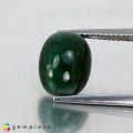 Natural Tourmaline cats eye 6.57 Carats Green Oval Cabochon 12x9 mm Loose Gemstone - Image 1