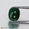 tourmaline cats eye  6.57cts - 12x9mm