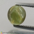 Natural Chrysoberyl cats eye 3.05 Carats Honey Green Oval Cabochon 8x7 mm Loose Gemstone - Image 3