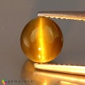 Natural Chrysoberyl cats eye 3.05 Carats Honey Green Oval Cabochon 8x7 mm Loose Gemstone - Image 2