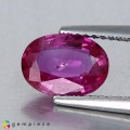 Natural Sapphire 1.71 Carats Vivid Pink Oval 9x6 mm Loose Gemstone - Image 2
