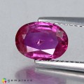 Natural Sapphire 1.71 Carats Vivid Pink Oval 9x6 mm Loose Gemstone - Image 1