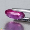 Natural Sapphire 1.71 Carats Vivid Pink Oval 9x6 mm Loose Gemstone - Image 3