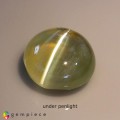 Natural Chrysoberyl cats eye 1.76 Carats Honey Yellow Round Cabochon 7x4 mm Loose Gemstone - Image 1