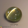 Natural Chrysoberyl cats eye 1.76 Carats Honey Yellow Round Cabochon 7x4 mm Loose Gemstone - Image 3