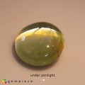 Natural Chrysoberyl cats eye 1.76 Carats Honey Yellow Round Cabochon 7x4 mm Loose Gemstone - Image 4