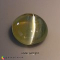 Natural Chrysoberyl cats eye 1.76 Carats Honey Yellow Round Cabochon 7x4 mm Loose Gemstone - Image 7