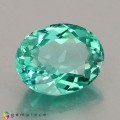 Natural Apatite 1.72 Carats Paraiba Blue Green Oval 8x7 mm Loose Gemstone - Image 5