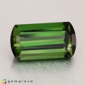 Natural Tourmaline 3.74 Carats Hunter Green Cushion 12x7 mm Loose Gemstone - Image 2