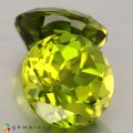 Natural Peridot 12.06 Carats Green Round 11x7 mm Loose Gemstone - Image 6