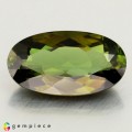 Natural Tourmaline 3.80 Carats Honey Oval 14x8 mm Loose Gemstone - Image 1