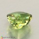 Showing image for demantoid garnet demantoid garnet Demantoid Garnet image