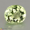Natural Montebrasite 1.12 Carats Yellowish Green Oval 7x6 mm Loose Gemstone - Image 7