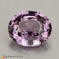 Natural Spinel 1.73 Carats Purple Oval 8x7 mm Loose Gemstone - Image 3
