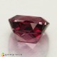 Showing image for rhodolite garnet rhodolite garnet image