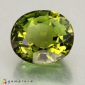 Natural Tourmaline 2.68 Carats Hunter Green Oval 9x8 mm Loose Gemstone - Image 1