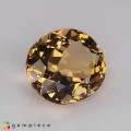 Natural Beryl 9.13 Carats Imperial Orange Oval 15x13 mm Loose Gemstone - Image 5