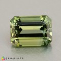 Natural Tourmaline 2.29 Carats Pastel Green Emerald Cut 8x6 mm Loose Gemstone - Image 1