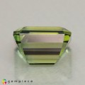 Natural Tourmaline 2.29 Carats Pastel Green Emerald Cut 8x6 mm Loose Gemstone - Image 4