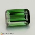 Natural Tourmaline 2.69 Carats Vivid Green Emerald 9x6 mm Loose Gemstone - Image 1
