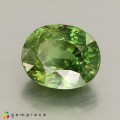 Natural Demantoid garnet 2.27 Carats Green Oval 8x7 mm Loose Gemstone - Image 2