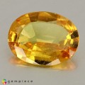 Natural Sapphire 2.65 Carats Yellow Oval 11x8 mm Loose Gemstone - Image 3