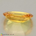 Natural Sapphire 2.65 Carats Yellow Oval 11x8 mm Loose Gemstone - Image 4