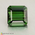 Natural Tourmaline 2.17 Carats Fine Green Octagon 7x7 mm Loose Gemstone - Image 3