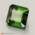 Natural Tourmaline 2.17 Carats Fine Green Octagon 7x7 mm Loose Gemstone - Image 2