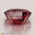 Natural Spinel 2.47 Carats Red  Oval 9x7 mm Loose Gemstone - Image 4