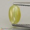 chrysoberyl cats eye  1.19cts - 7x5mm