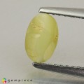 Natural Chrysoberyl cats eye 1.19 Carats Yellowish Green Oval Cabochon 7x5 mm Loose Gemstone - Image 3