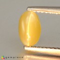 Natural Chrysoberyl cats eye 1.19 Carats Yellowish Green Oval Cabochon 7x5 mm Loose Gemstone - Image 2