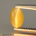 Natural Chrysoberyl cats eye 1.19 Carats Yellowish Green Oval Cabochon 7x5 mm Loose Gemstone - Image 4