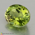 Natural Tourmaline 1.43 Carats Fine Green Oval 8x6 mm Loose Gemstone - Image 3