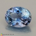 Natural Apatite 1.52 Carats Sea Blue Oval 8x6 mm Loose Gemstone - Image 2