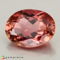 Natural Tourmaline 1.72 Carats Pink Oval 9x7 mm Loose Gemstone - Image 2