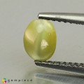 Natural Chrysoberyl cats eye 1.14 Carats Yellowish Green Oval Cabochon 6x5 mm Loose Gemstone - Image 4