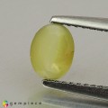 Natural Chrysoberyl cats eye 1.14 Carats Yellowish Green Oval Cabochon 6x5 mm Loose Gemstone - Image 3