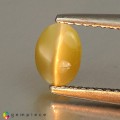 Natural Chrysoberyl cats eye 1.14 Carats Yellowish Green Oval Cabochon 6x5 mm Loose Gemstone - Image 2