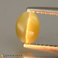 Natural Chrysoberyl cats eye 1.14 Carats Yellowish Green Oval Cabochon 6x5 mm Loose Gemstone - Image 5