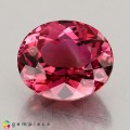 Natural Tourmaline 3.66 Carats Hot Pink Oval 10x9 mm Loose Gemstone - Image 1